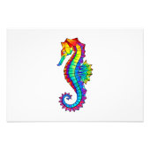 Rainbow Polygonal Seahorse Foto Afdruk (Voorkant)