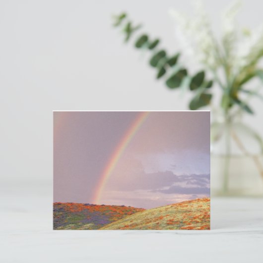 Rainbow Postcard Briefkaart (Staand voorkant)