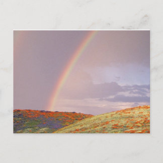 Rainbow Postcard Briefkaart