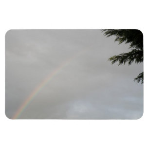 Rainbow Premium Magnet Magneet