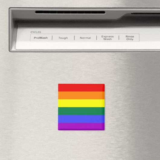Rainbow Pride Flag Magnet (Insitu (Vaatwasser))