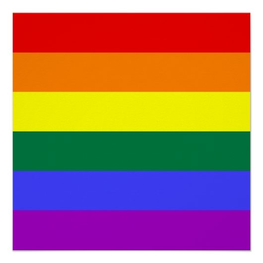 Rainbow Pride Flag Poster (Voorkant)