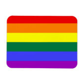 Rainbow Pride Flag Premium Magnet Magneet (Horizontaal)