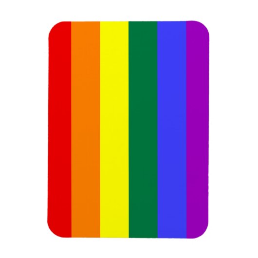 Rainbow Pride Flag Premium Magnet Magneet (Verticaal)