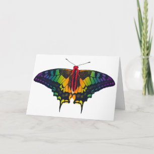 Rainbow Pride Flag Swallowtail Butterfly Kaart