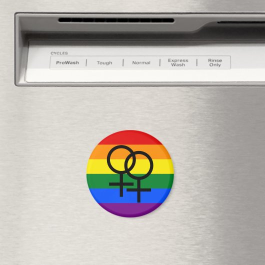 Rainbow Pride Magnet (Insitu (Vaatwasser))