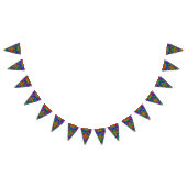 Rainbow Psychedelic Fractal Kaleidoscope Vlaggetjes (Alle)