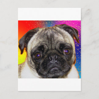 Rainbow Pug Briefkaart