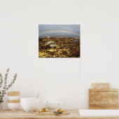 Rainbow Rannoch Moor Briefkaart Poster (Keuken)