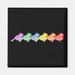 Rainbow Robins Magneet