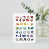Rainbow Rocks Geology Crystal Collectie Briefkaart (Staand voorkant)