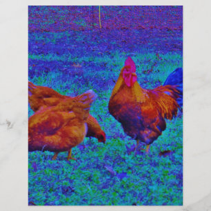 Rainbow Rooster & Hens, elektrisch blauw