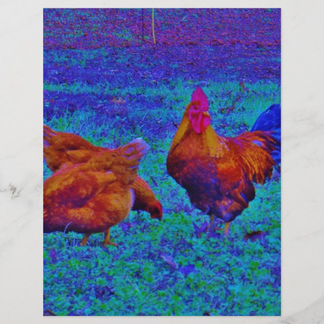 Rainbow Rooster & Hens, elektrisch blauw (Voorkant)