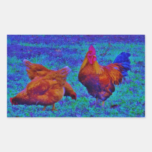 Rainbow Rooster & Hens, elektrisch blauw Rechthoekige Sticker (Voorkant)