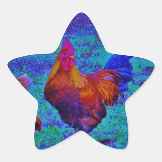 Rainbow Rooster & Hens, elektrisch blauw Ster Sticker (Voorkant)