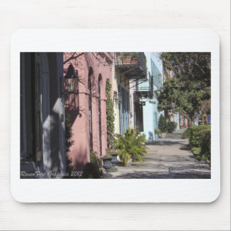 Rainbow Row Charleston SC Muismat