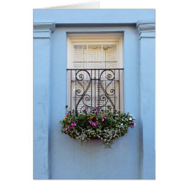 Rainbow Row Window Flower Box, Charleston, S.C.