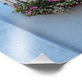 Rainbow Row Window Flower Box, Charleston, S.C. Foto Afdruk (Hoek)