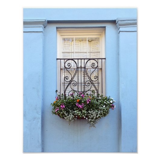 Rainbow Row Window Flower Box, Charleston, S.C. Foto Afdruk (Voorkant)