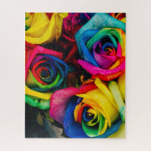 Rainbow Rozen Uitdaging Puzzle 16 x 20 inch