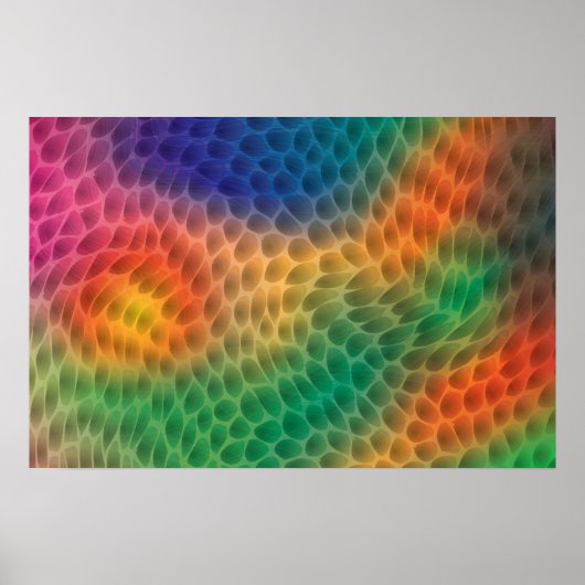 Rainbow Scales-poster Poster (Voorkant)