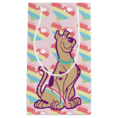 Rainbow Scooby-Doo Klein Cadeauzakje (Voorkant)