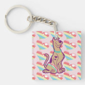 Rainbow Scooby-Doo Sleutelhanger (Voorkant)