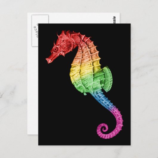 Rainbow Seahorse Briefkaart (Voorkant / Achterkant)