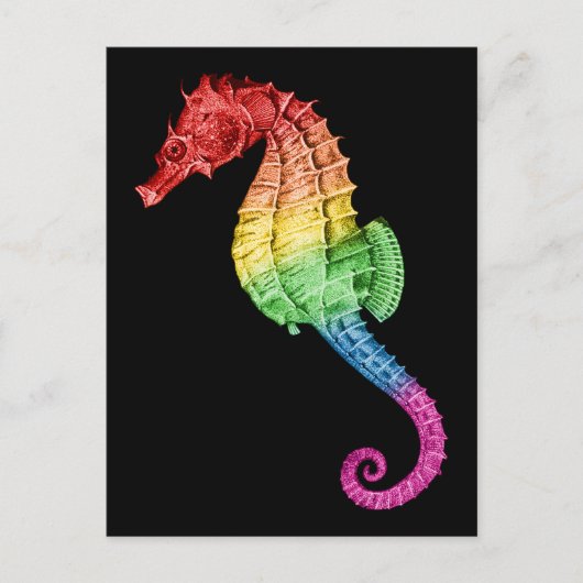 Rainbow Seahorse Briefkaart (Voorkant)