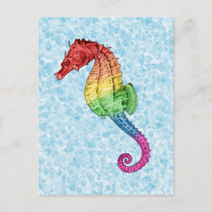 Rainbow Seahorse Briefkaart
