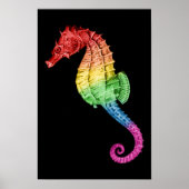 Rainbow Seahorse Poster (Voorkant)