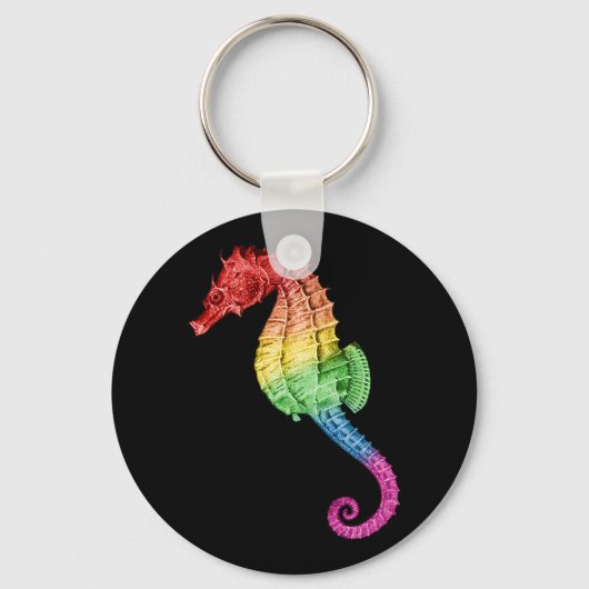 Rainbow Seahorse Sleutelhanger (Voorkant)