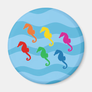 Rainbow Seapaarden Magneet