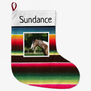 Rainbow Serape Custom Horse 1 Foto Grote Kerstsok