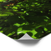 Rainbow Shower-boom Poster (Hoek)