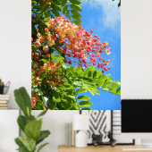 Rainbow Shower-boom Poster (Thuiskantoor)