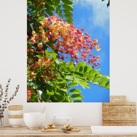 Rainbow Shower-boom Poster (Keuken)