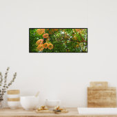 Rainbow Shower Tree Hawaii Poster Prints (Keuken)