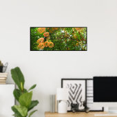 Rainbow Shower Tree Hawaii Poster Prints (Thuiskantoor)