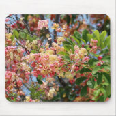 Rainbow Shower Tree Mousepad Muismat (Voorkant)