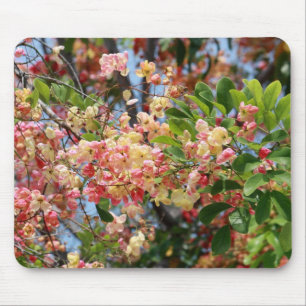 Rainbow Shower Tree Mousepad Muismat