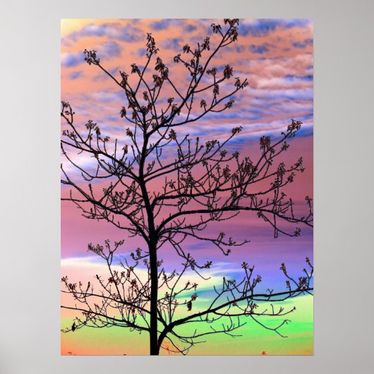 Rainbow Sky Barren Tree Poster (Voorkant)