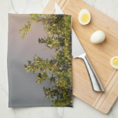 Rainbow Sky Kitchen Towel Theedoek (Quarter Fold)