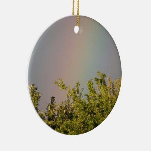 Rainbow Sky Ornament (Rechts)