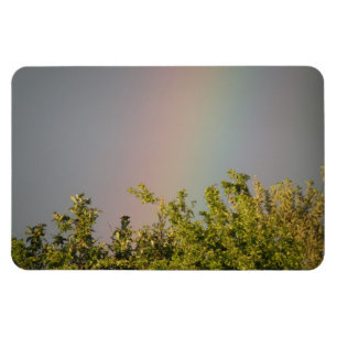 Rainbow Sky Premium Magnet Magneet