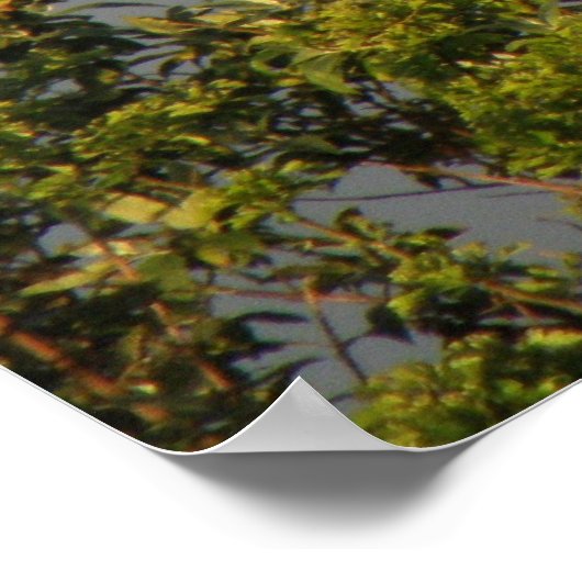 Rainbow Sky Print (Hoek)