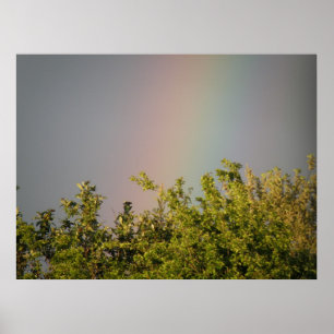 Rainbow Sky Print