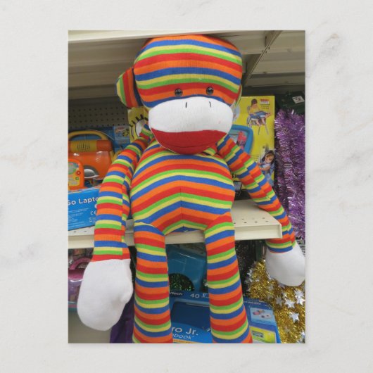 Rainbow Sock Monkey Briefkaart (Voorkant)