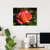 Rainbow Sorbet Floribunda Roos 139 Poster (Thuiskantoor)