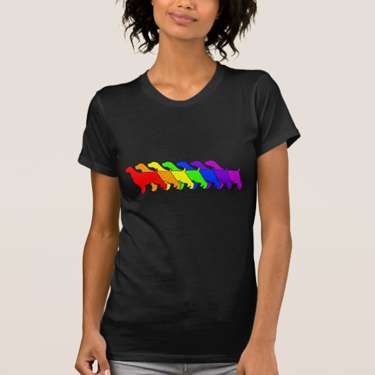 Rainbow Springer T-shirt (Voorkant)
